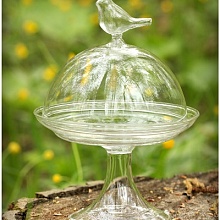 Пироженица с куполом, птичка, стекло d12см