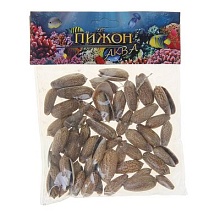 Набор ракушек Олива Текстилина, 3-4 см, 100 г